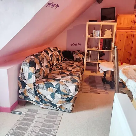 Cozy In - 40 Sqm With A Fenced Garden. Apartment *