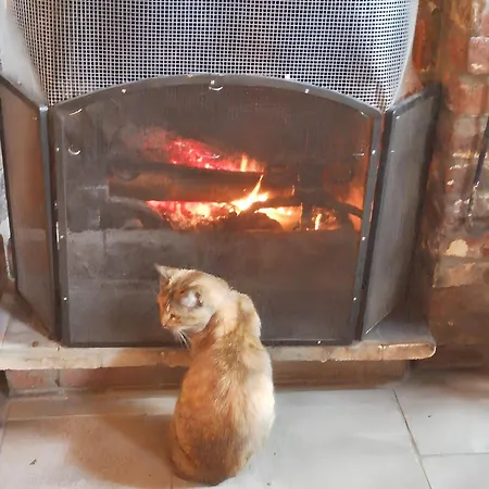 Cozy In - 40 Sqm With A Fenced Garden. *