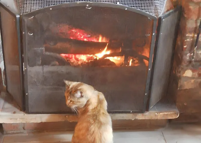 Cozy In - 40 Sqm With A Fenced Garden. *